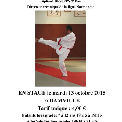 Fenelon Senseï en stage le 13 octobre à Damville