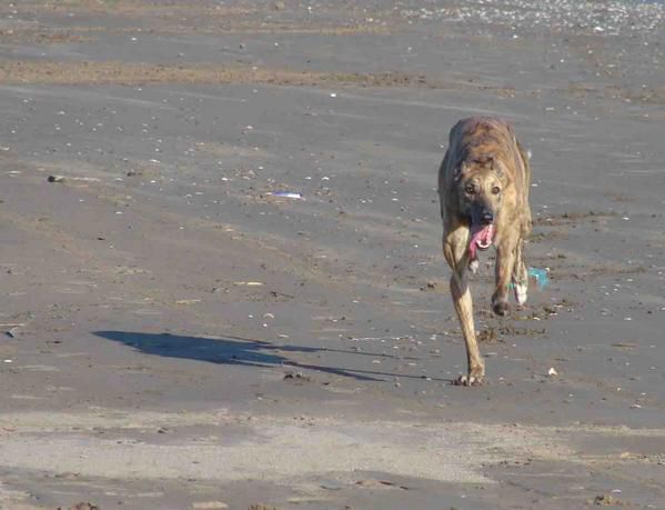 Album - Monte Hermoso