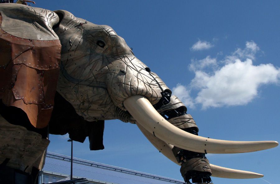 Eléphant de l'Ile de Nantes Royal de Luxe - Photos Thierry Weber Photographe La Baule Guérande