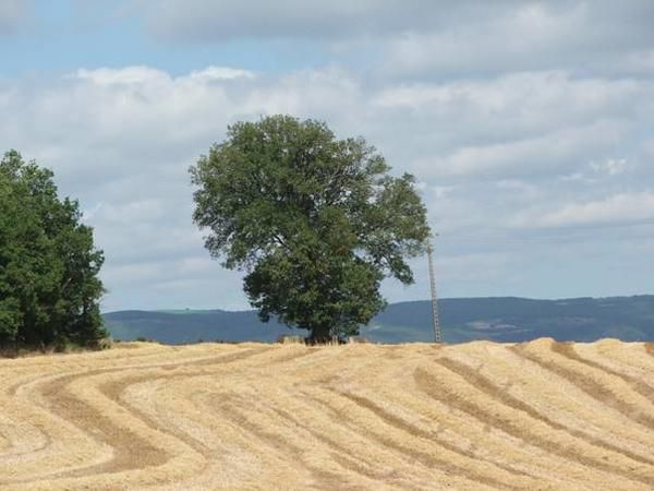 <em><strong>PHOTOS DE COURTILLES, GISSAC ET ENVIRONS DE ST AFFRIQUE</strong></em>