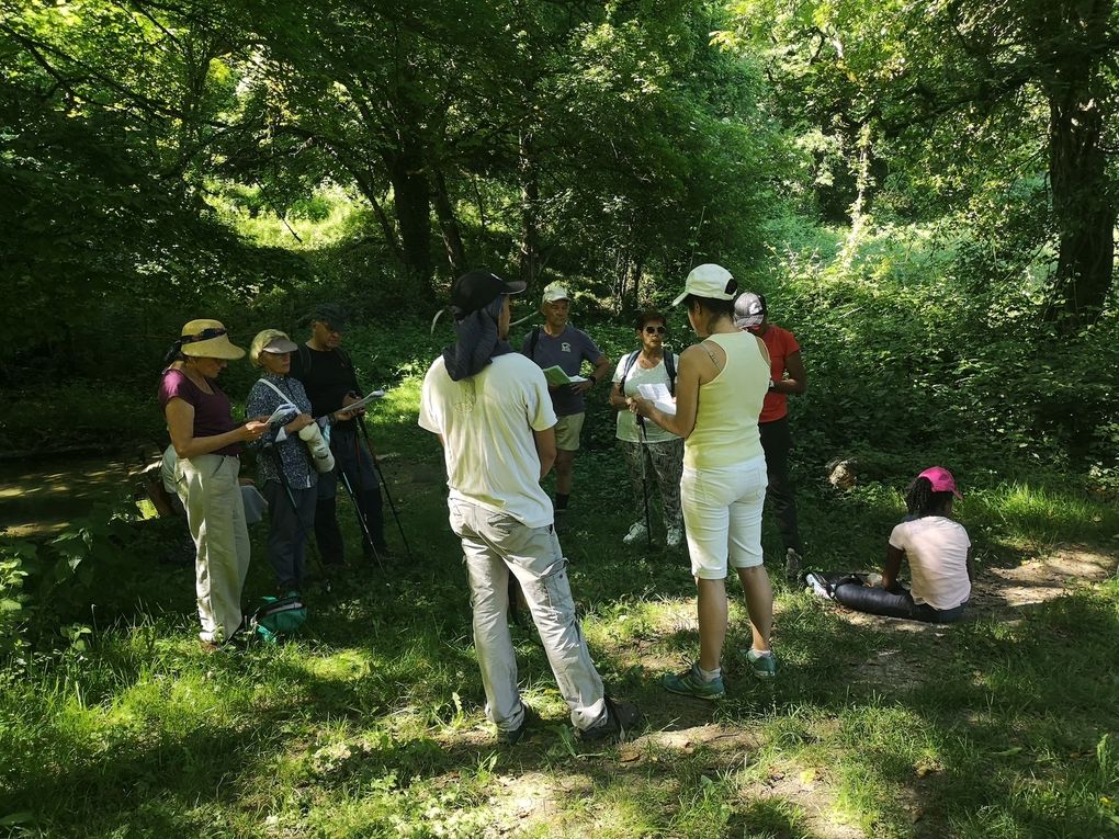 2ème Marche LAUDATO SI - La Croix Blanche