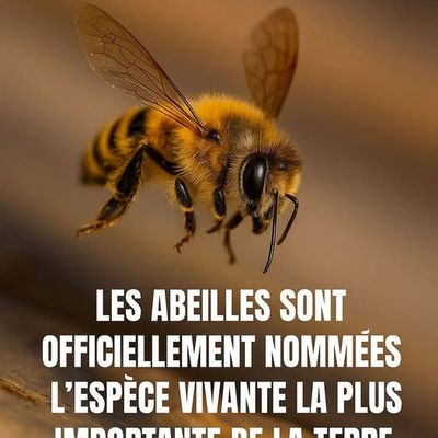 Pour la VIE sur Terre : Plus d'abeilles ,plus d'avenir !