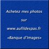 Le 31.12.09 - Banque d'Images A.F.D.P