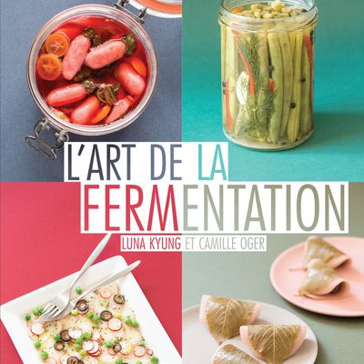 Tofu fermenté