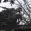 Shanghai - Yuyuan Garden