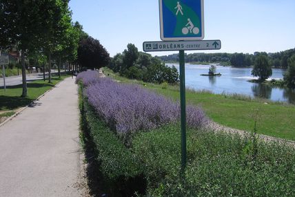 "L'agglomération d'Orléans se situe(rait) à la 2 e place des villes françaises où le vélo (serait) le plus utilisé par les habitants pour se déplacer. "