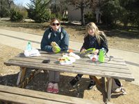 Picnic au soleil !