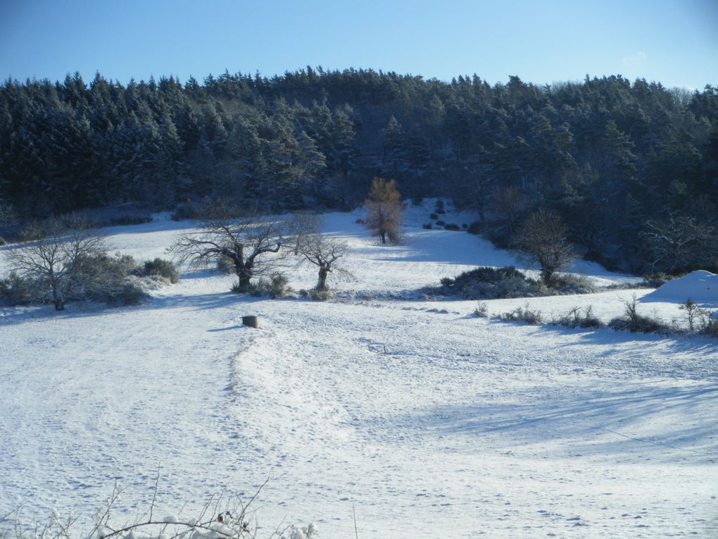 Une petite balade ce matin-là avec 5-6 cm de neige le soleil commencer a sortir ...