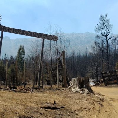 Argentine : Incendies de forêt et intentionnalité de ceux qui détiennent le pouvoir