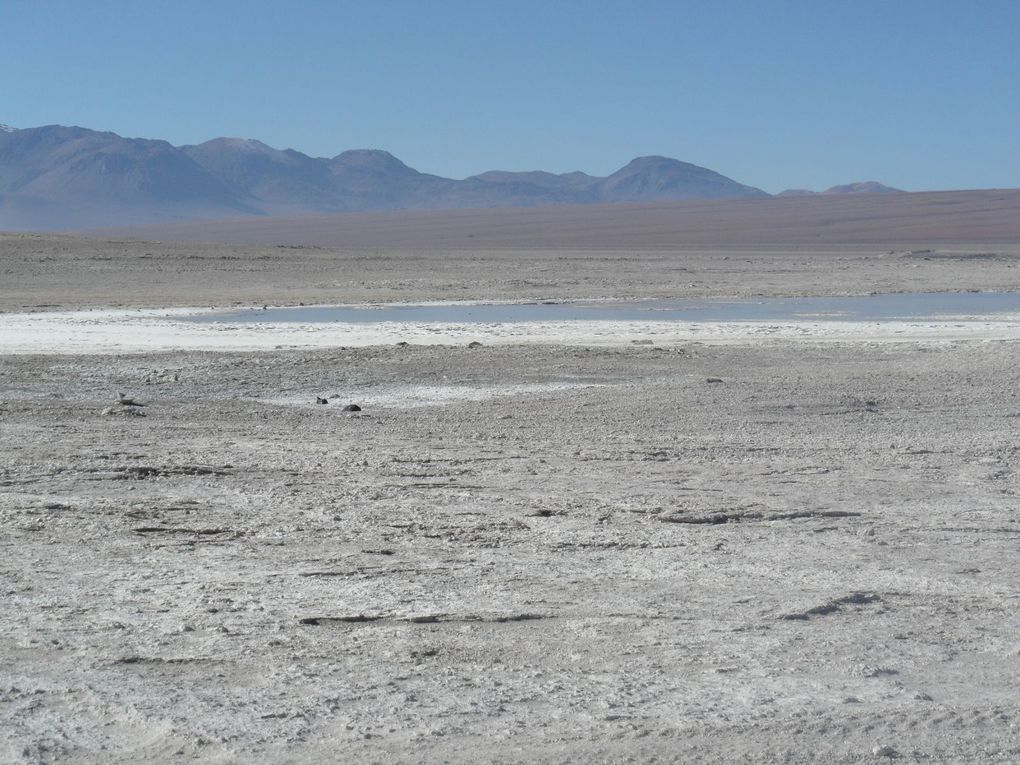 Album - Uyuni-et-ses-environs