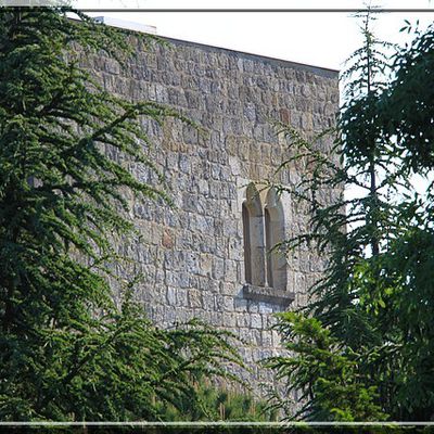 Donjon de FAUGUEROLLES - La Croix Blanche