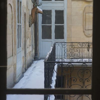 Cerf, tête. (neige à Versailles)