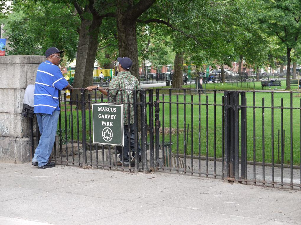 Harlem Globetrottels