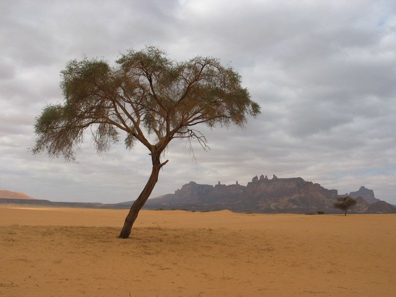 Voyage d'étude géobiologique dans le désert de l'Akakus en Décembre 2006 (pas chaud la nuit >-5°C et 30°C à midi)
aussi voyage à l'intérieur de soi...
énergies intéressantes....