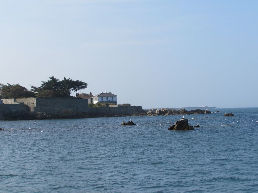 Bullock Harbour / "Asseyez-vous, détendez-vous et profitez de la vue, profiter, profiter" 