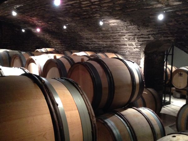 Les vins fermentent en fûts dans les caves séculaires