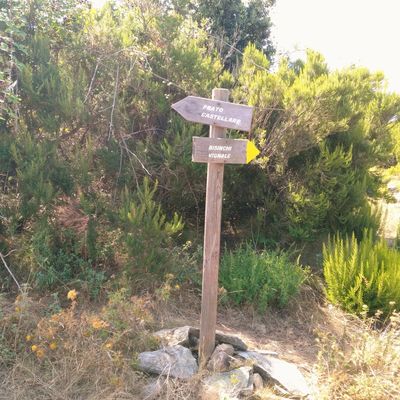 Randonnée Monte Castellare - Depuis Campile