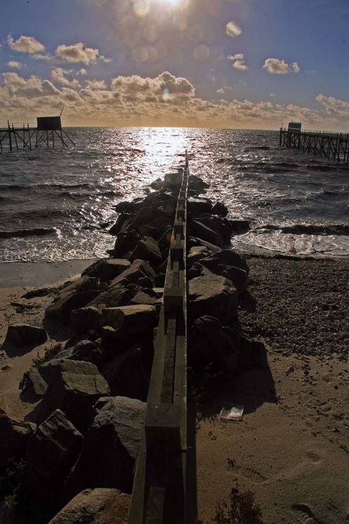 Sentier de douanier en Pays de Retz - Photos Thierry Weber Photographe La Baule Guérande