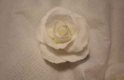 mi primera rosa con fondant