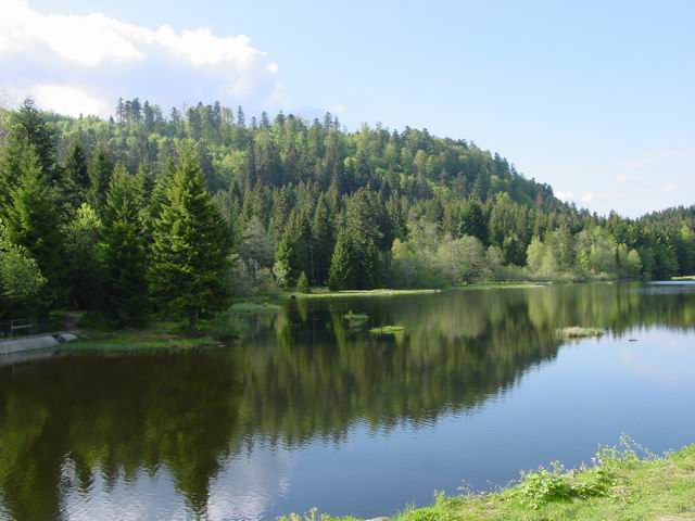 <P><FONT color=#ff0000><STRONG>petit lac&nbsp; entre GERARDMER</STRONG></FONT></P>
<P><FONT color=#ff0000><STRONG>et LA BRESSE</STRONG></FONT></P>