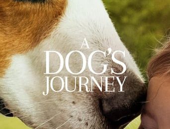 HD'.CEAS»!] “Câinele, adevăratul meu prieten 2” Filme Online (2019) Subtitrate in Limba Romana