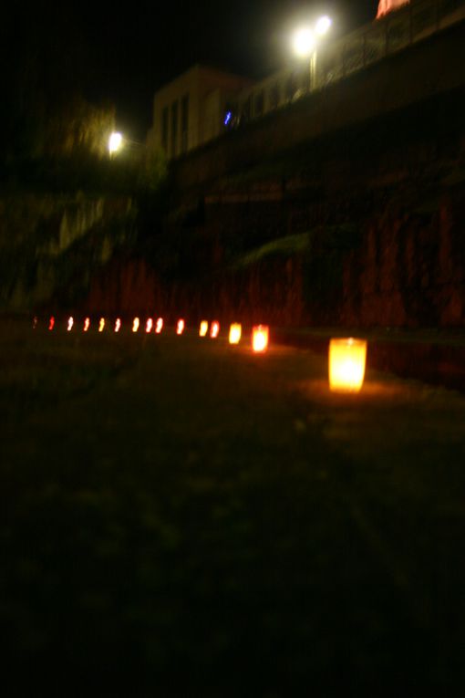 Album - fete-des-lumieres-2009