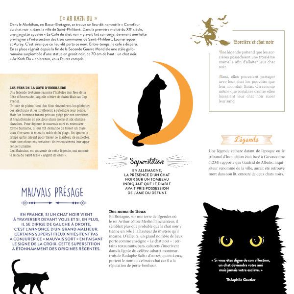 Calendrier Mon Chat Noir Bien Aime 21 Nathalie Semenuik Des Chats Des Livres Over Blog Com