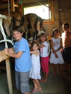 Visite de la ferme