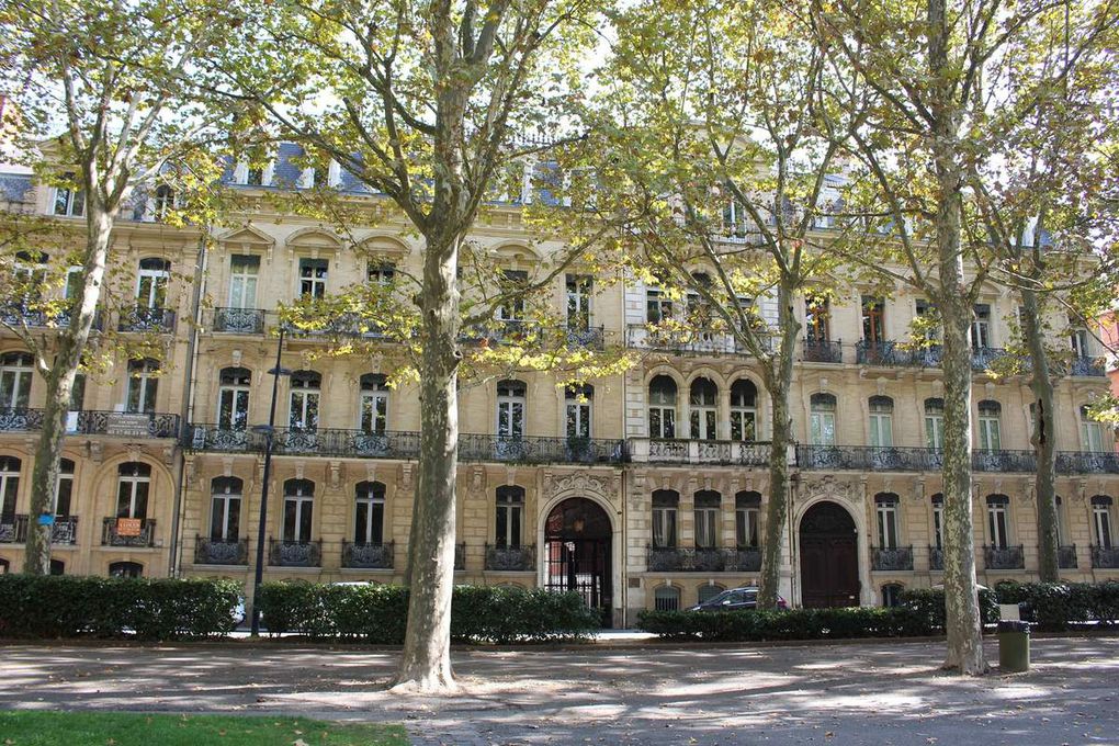 Une uncusion dans le parc royal, son vieux platane et sa statue de St Exupéry