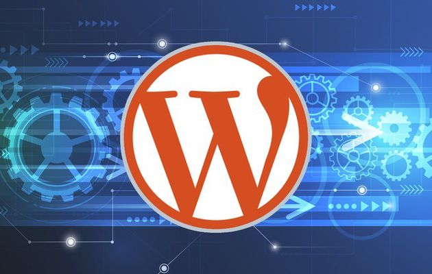 How to Optimize Your WordPress Admin Experience For Beginners?