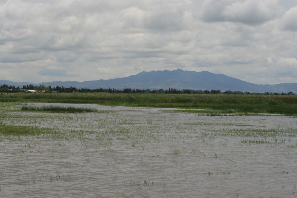 Album - Lake-Langano