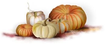 Une semaine d'automne en 2015 (3)