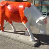 La vache ! 