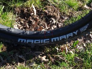 Test pneus VTT Big Betty et Magic Mary, le duo gagnant de VTT-a-2 pour les terrains humides ...