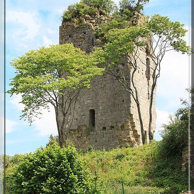 Diaporama château de MONGAILLARD à Montgaillard-en-Albret