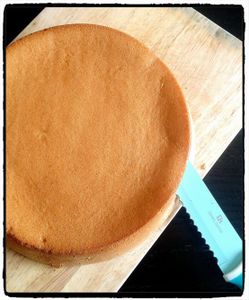 Fraisier, recette au thermomix