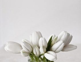 Je suis une maman parfaite !