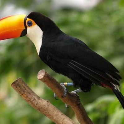 Wunder Welt - Die Wunder der Welt