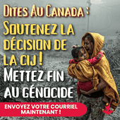 La Cour Internationale de Justice dénonce le génocide israélien contre Gaza