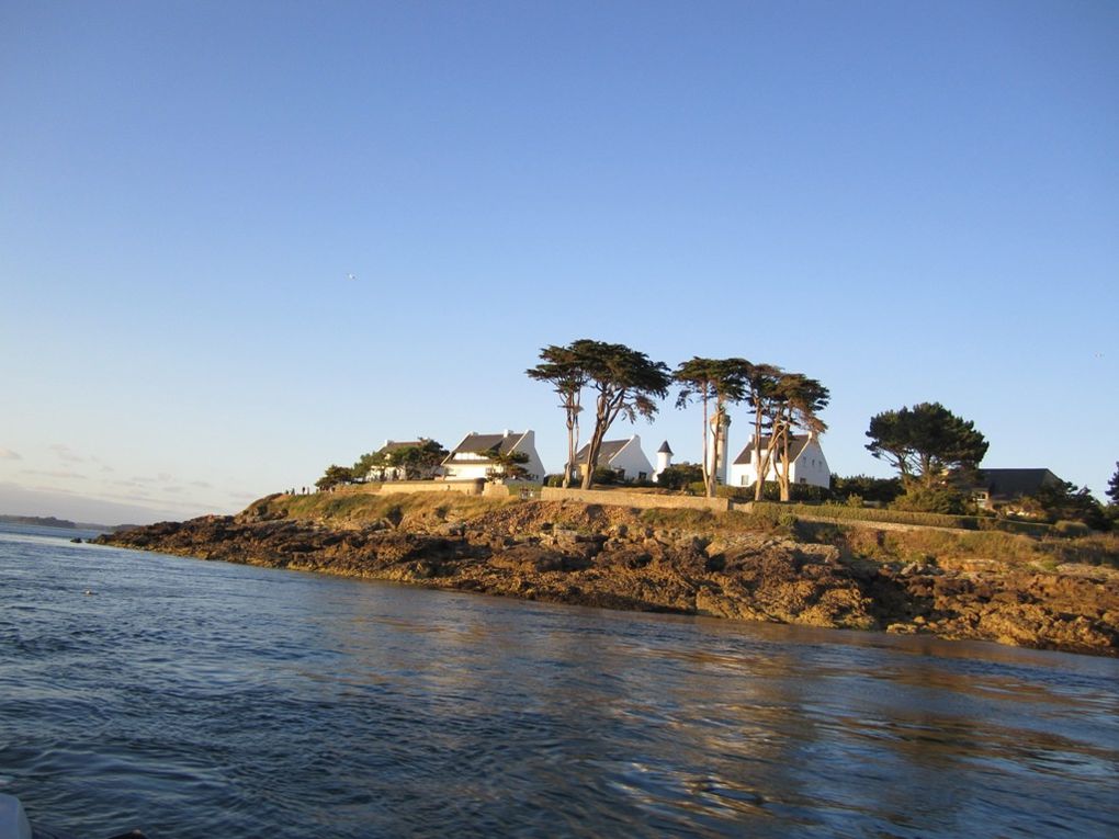 Plongées en presqu'île de Rhuys, golfe du Morbihan et Morbraz