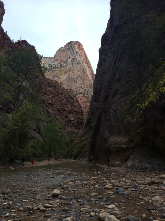 Et au bout du chemin, on peut explorer le canyon, The Narrows, si on marche dans l'eau! Ce n'était plus la saison, même si il faisait chaud, et nous novions pas de chaussures de rechange...