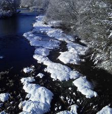 Nos photos pour le concours organisé par la Mairie.