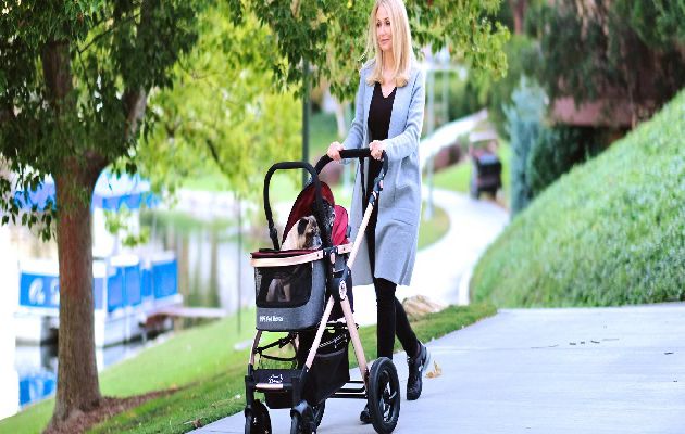 Tips to Choose the Best Pet Stroller for your Dog