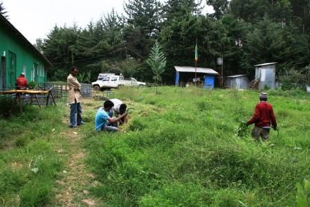 Yeteem Children and Destitute Mothers Fund, Asko (quartier périphérique à l'Ouest d'Addis), de l'autre côté de Wingate (porte vers l'autoroute). Difficile d'accès en ce moment car une route est en construction...