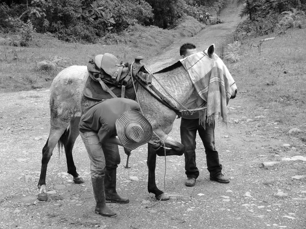 Album - Los Nevados - Popayan - San Agustin