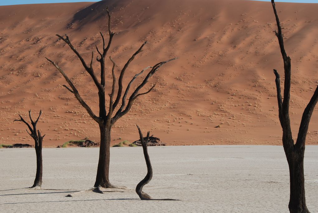 Album - Desert-du-Namib