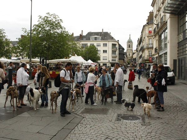 Notre marche blanche dans les rues de Rennes