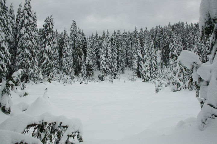 Album - Snowshoeing au Mont Seymour