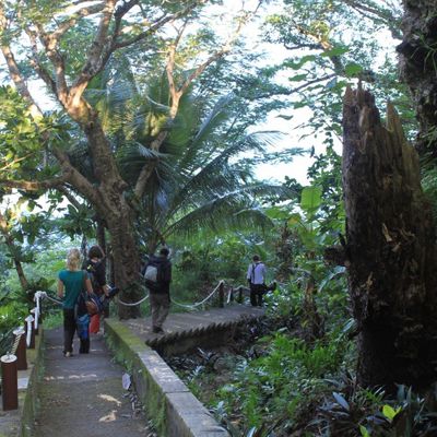 Lifou : Un petit dimanche à la plage ?