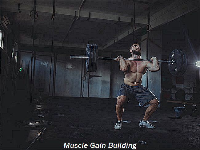 Best muscle gain protein powder in india